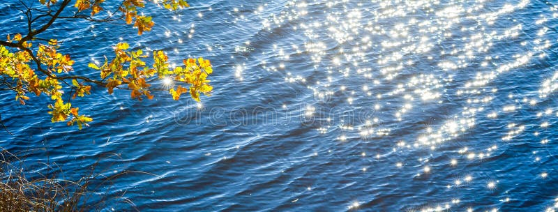 Water in the river glistens and sparkles small stars. Bright white lights, the left branch of a tree with yellow leaves, autumn landscape, sunny evening, the stock photography