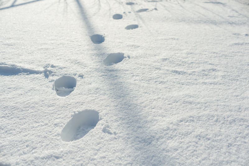White clear snow glistening on sunny bright winter day with human footprints stock photo