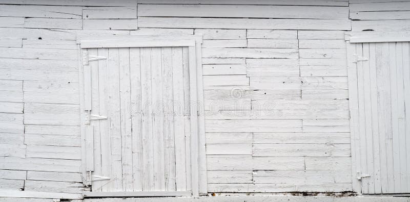 White wood wall old planks and wooden doors background texture. Old white peeling paint shed with doors, wood planks background texture stock photo