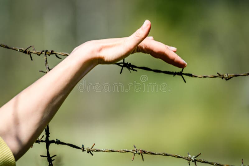 Hand clutch at barbed wire fence on green background. Womans Hand clutch at barbed wire fence on green background stock photography