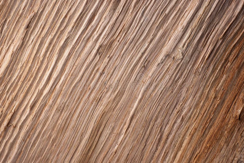 Wood texture. A brown, wood texture stock photography