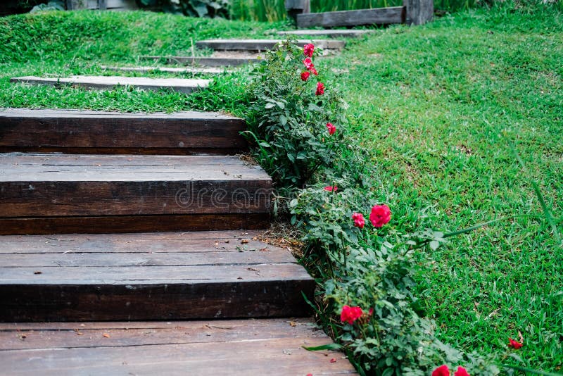 Wooden stairs stairstep staircase in garden. Park royalty free stock image