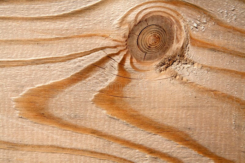 Wooden texture-pinewood stock photography