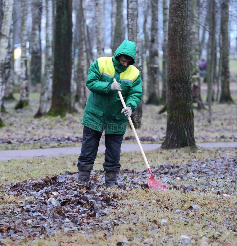 A worker removes fallen autumn leaves in a Park royalty free stock photos