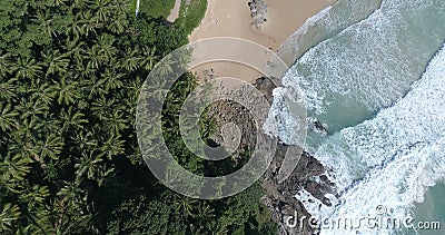 Aerial view of tropical island beach stock video footage