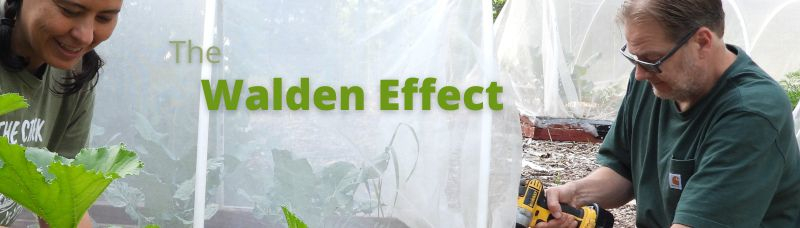 The Walden Effect: Farming, simple living, permaculture, and invention.